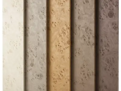 Birch Burl wood material 01 Texture