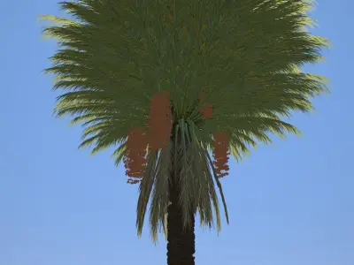 4 Stylized Date Palm Tree Variations  Low-poly 3D model