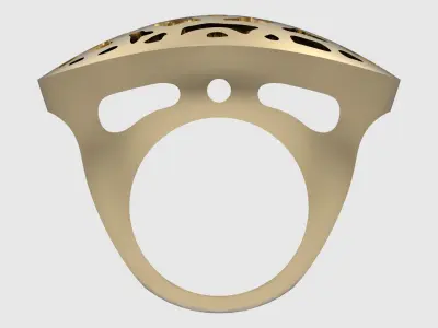 Intricate Filigree Pattern Ring JDBCo 3D print model