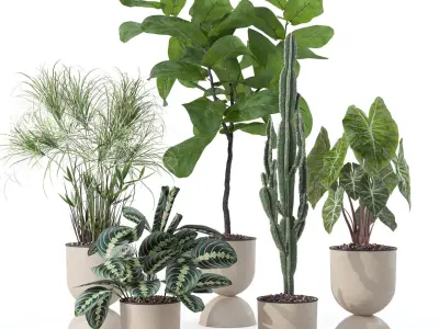  20 Photorealistic Flowers for Interiors - set 118- 121- 125- 128 3D Model Collection 