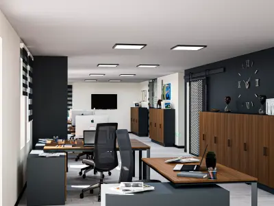 Office design 3DSMAX VRAY  3D model