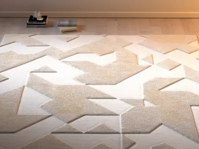 Asymetric Wool Rug 3D model