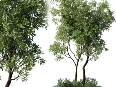 Urban Environment Urban Furniture Green Benches Plants and Tree 3D model