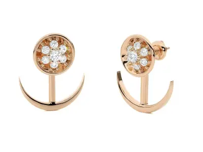 Light wt Women Diamond Earrings  3D print model
