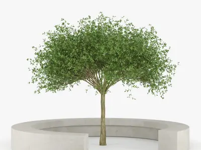 COMU BY VORA ARQUITECTURA Tree Bench 3D model
