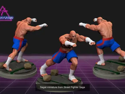 Street Fighter Legends 3D Model Pack
