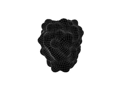 Raspberry V1 001 Free low-poly 3D model