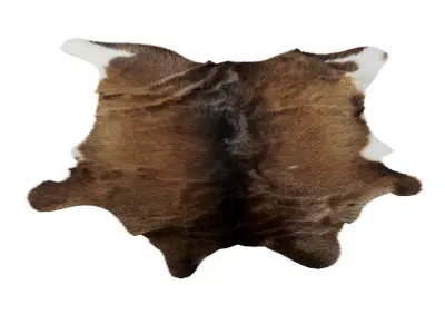 Animal skin rug 15 3D model