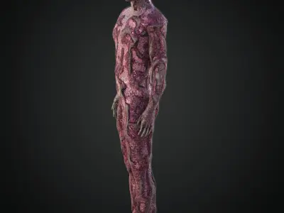 Rigged Zombie Character Low-poly 3D model