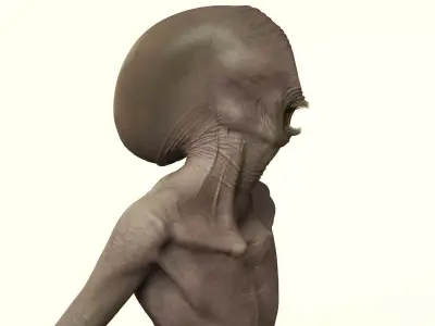 Creature Skin Color Pack - 67 Procedural Maps - Creature Artists Texture
