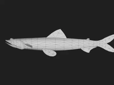 Tripodfish Low-poly 3D model