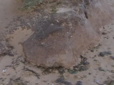 Beach Mud Mound - High and Low Poly versions Low-poly 3D model