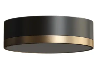 Tommaso Flush Mount Ceiling Light 3D model