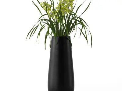 Cymbidium in floor vase 3D model