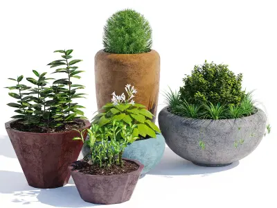 Mundo and Faceted 3D model