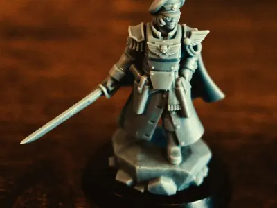 Universal Guard - Miss Valerie 3D print model