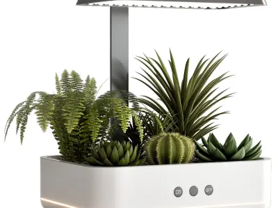 PLANTS IN DIGITAL VASE NO2 A 3D model