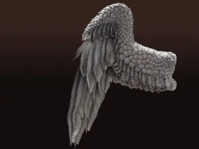 Pair of Bird Wings C4D  Low-poly 3D model