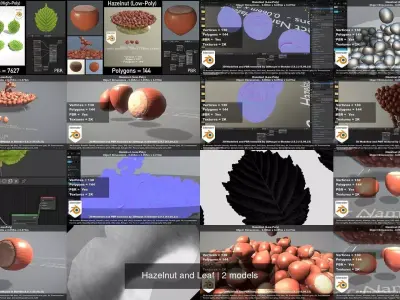 Hazelnut and Leaf 3D Model Pack