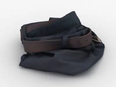 Crumpled Shorts 3D model