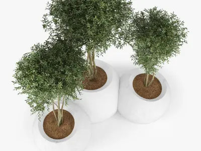 CONTEMPORARY ESFERA 3D model