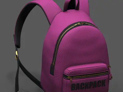 Backpack Camping color bag baggage pockets  Low-poly 3D model