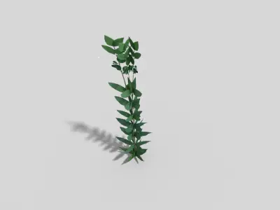 Low poly Plant Low-poly 3D model