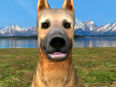German Shepherd Dog  Animated Rigged 3d model 3D model