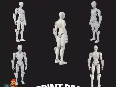  Fully Articulated 3D Printable Robot Mode 3D print model