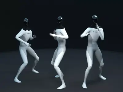 Tesla bot animation fighters Low-poly 3D model