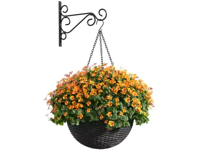 Hanging basket flowerpot rattan pot with flowers 3D model