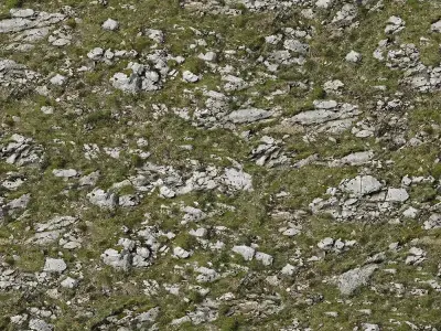Rocky Grass Terrain Texture Texture