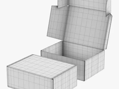  Cardboard Box FEFCO0427 Rigged 