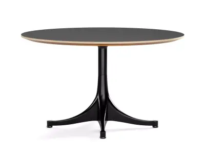 Nelson Coffee Table 3D model