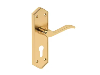 Paris Door Handles Polished Brass 3D model