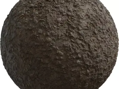 Forest Trail Dirt With Pebbles PBR Texture  Texture