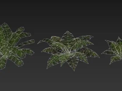 Realistic Tropical Fern Low-poly 3D model