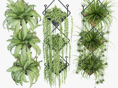 Rhombus group of plants hanging 3D model