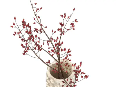 Ceramic Bolt Vase by Floris Wubben Rosehip 3D model