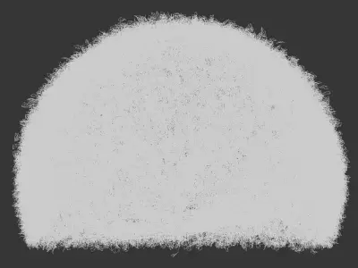 Buxus Sempervirens - Boxwood 3D model