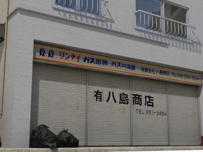 Tokyo House 003 Low-poly 3D model