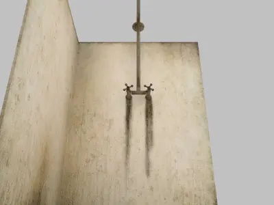 Dirty Shower 3D model