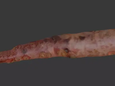  Uprooted Tree Root Scan Low-poly 3D model