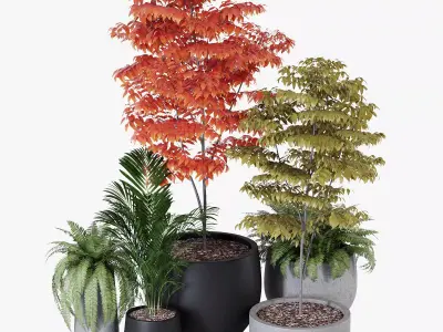 Pottery pots 3D model