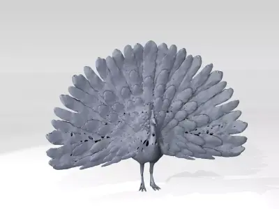 Peafowl Voronoi 3D model