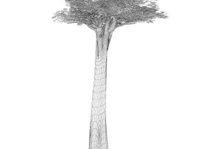 Baobab Tree 3D model