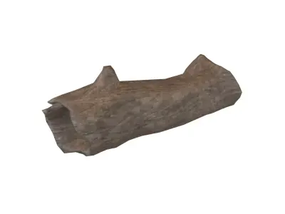 Fallen Tree Trunk v1 001 Low-poly 3D model