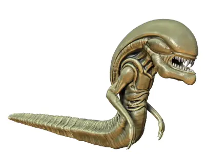 Alien Chestburster 3D model