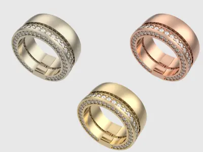 Dual Motion Rotating Ring JDBCo 3D print model