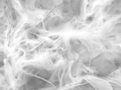 feather PBR material Free low-poly 3D model